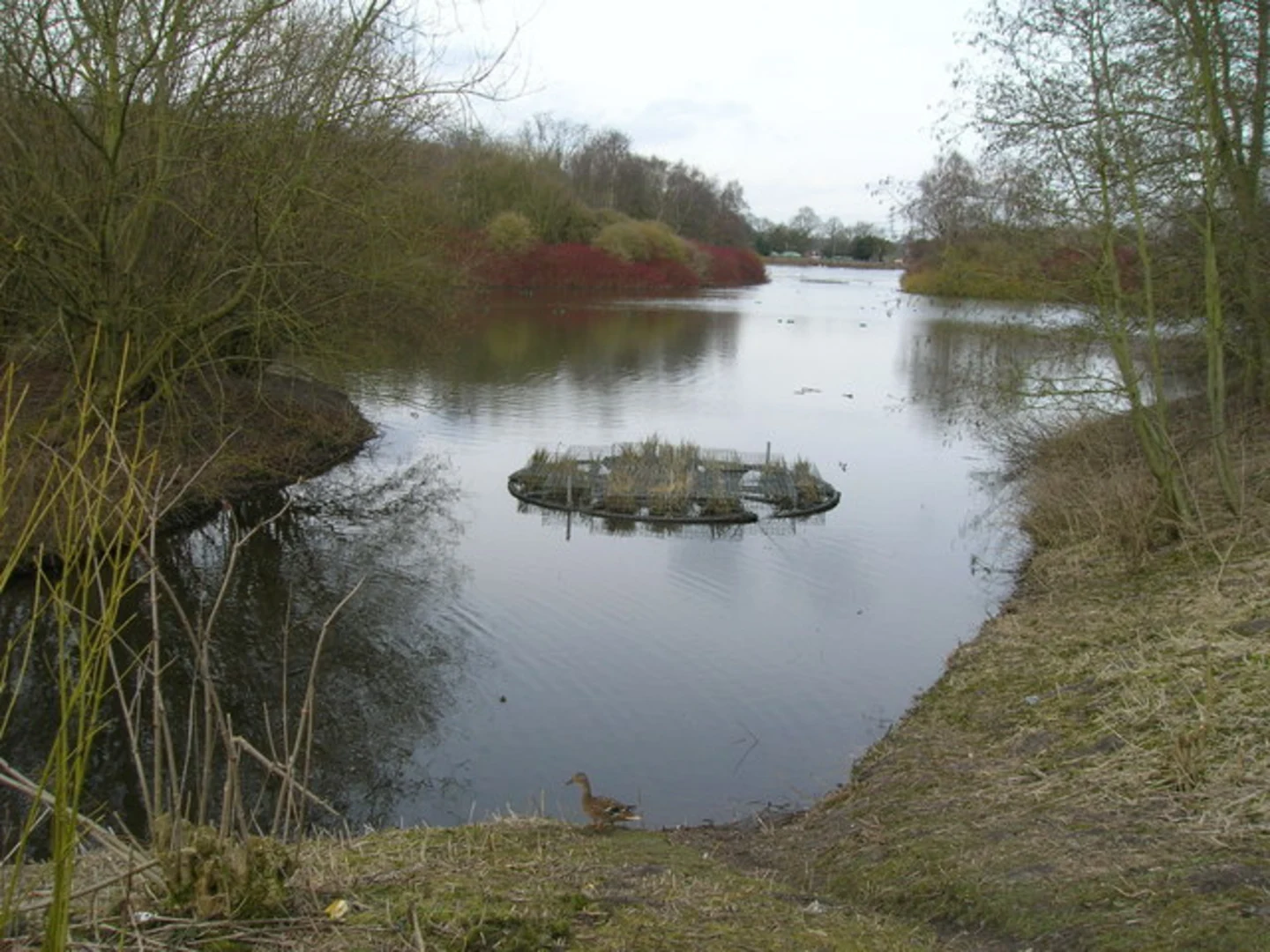 An image depicting the trail Rufford Abbey Country Park Loop and its surrounding area.