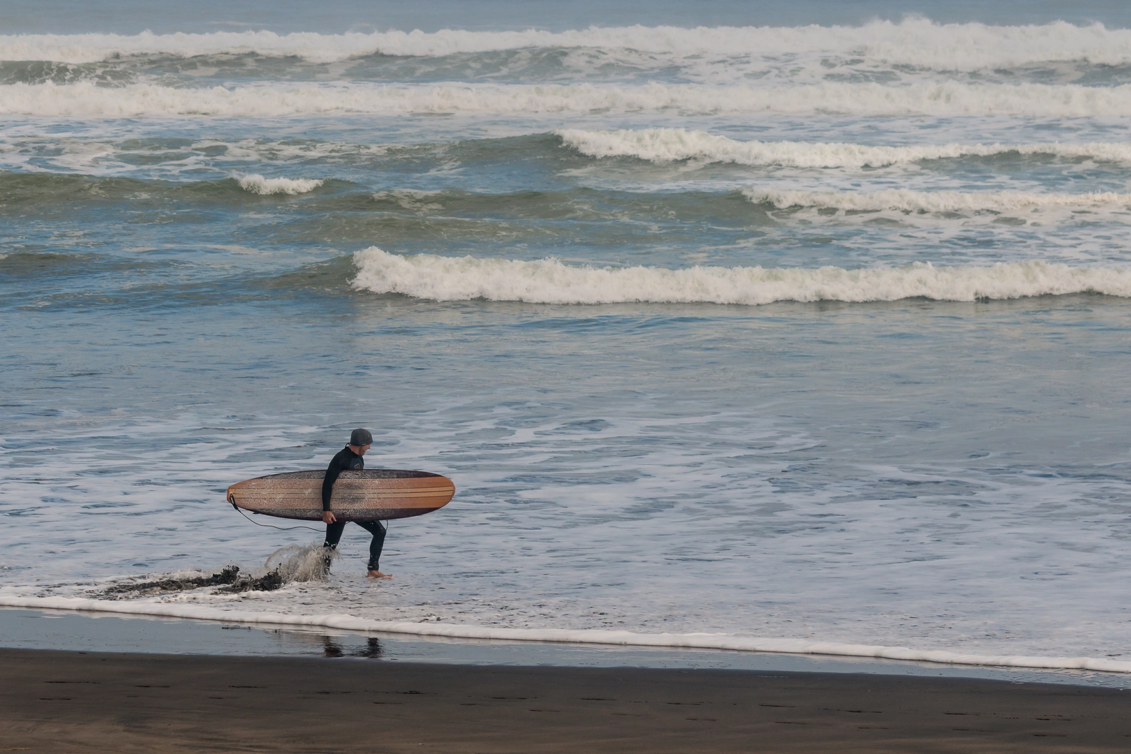 An image depicting the trail Muriwai Walk and its surrounding area.