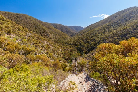 The Scenic Rim and River via Link 1