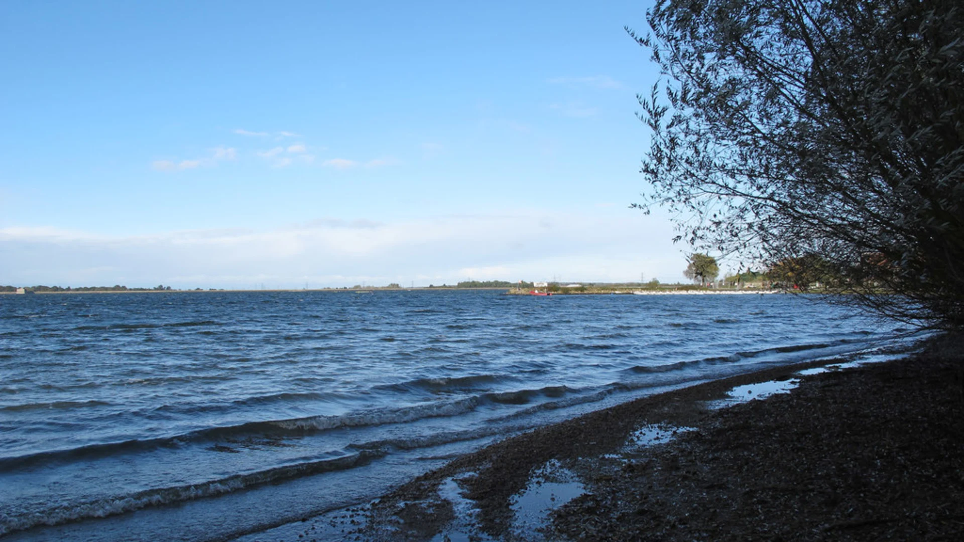 An image depicting the trail Downham Loop from Hanningfield Reservoir and its surrounding area.