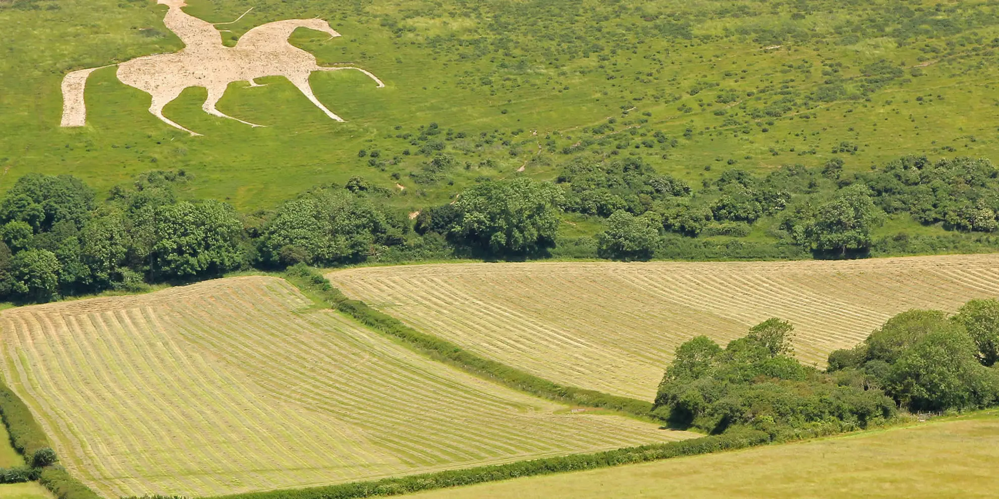 An image depicting the trail The White Horse and Sutton Poyntz from Osmington and its surrounding area.