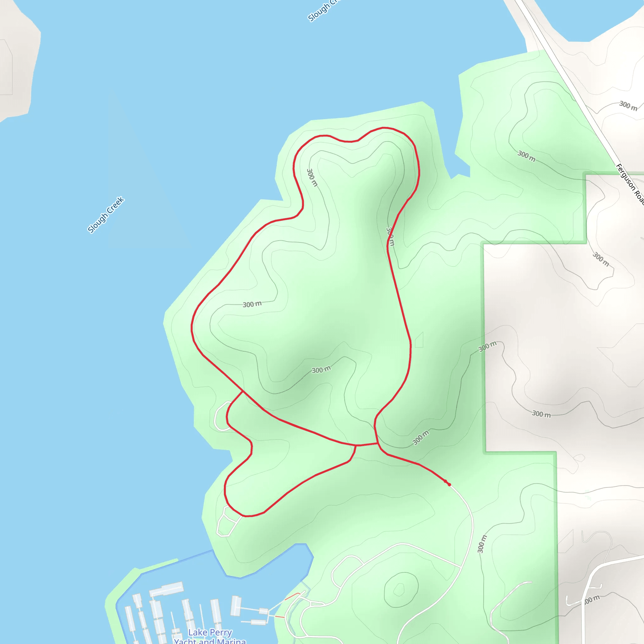 Dragonfly Meadows Loop mobile static map