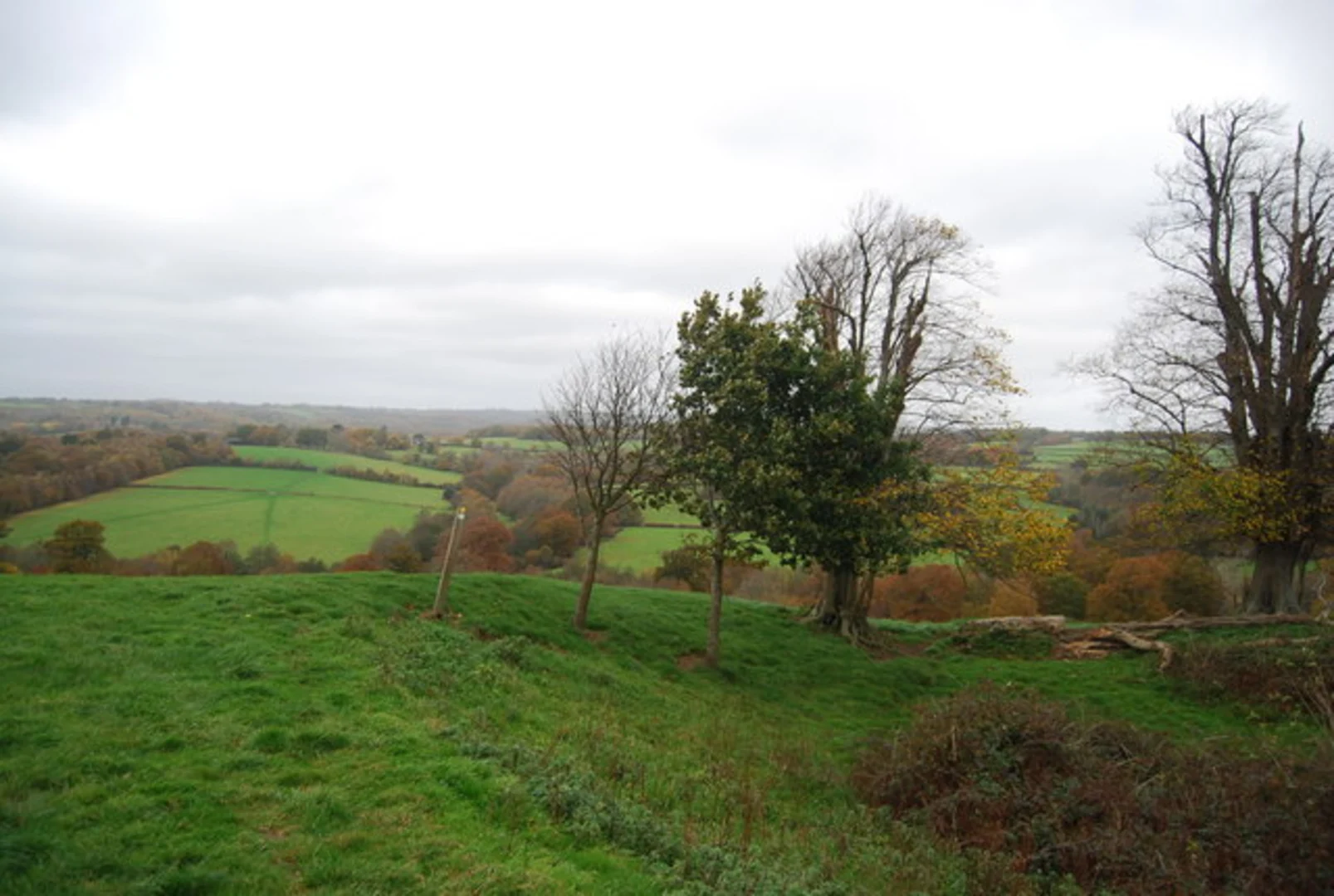 An image depicting the trail Pevensey to Rye Walk and its surrounding area.