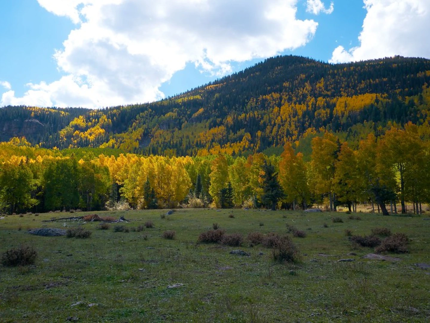 An image depicting the trail Duck Lake Trail and its surrounding area.
