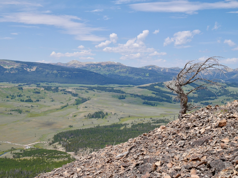 An image depicting the trail Fawn Pass Trail and its surrounding area.
