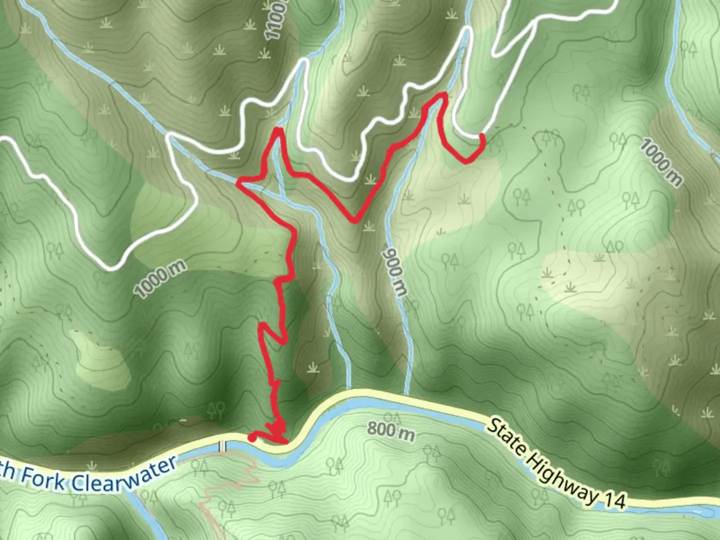 An image depicting the trail Wikiup Creek Trail and its surrounding area.