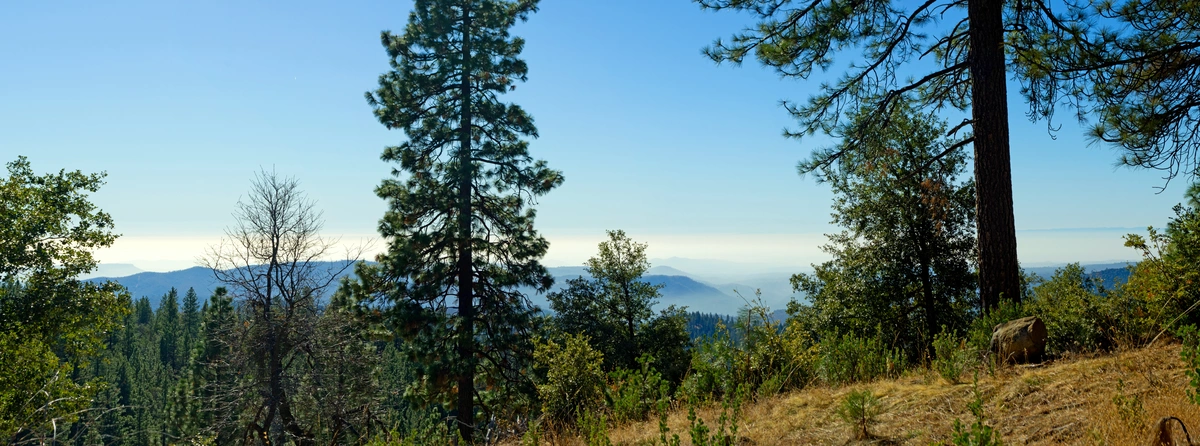 Goat Mountain Trail Out and Back