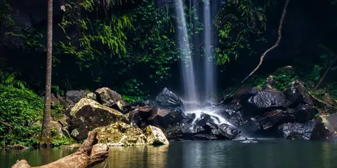 An image depicting the trail Lower Creek Circuit Track and its surrounding area.