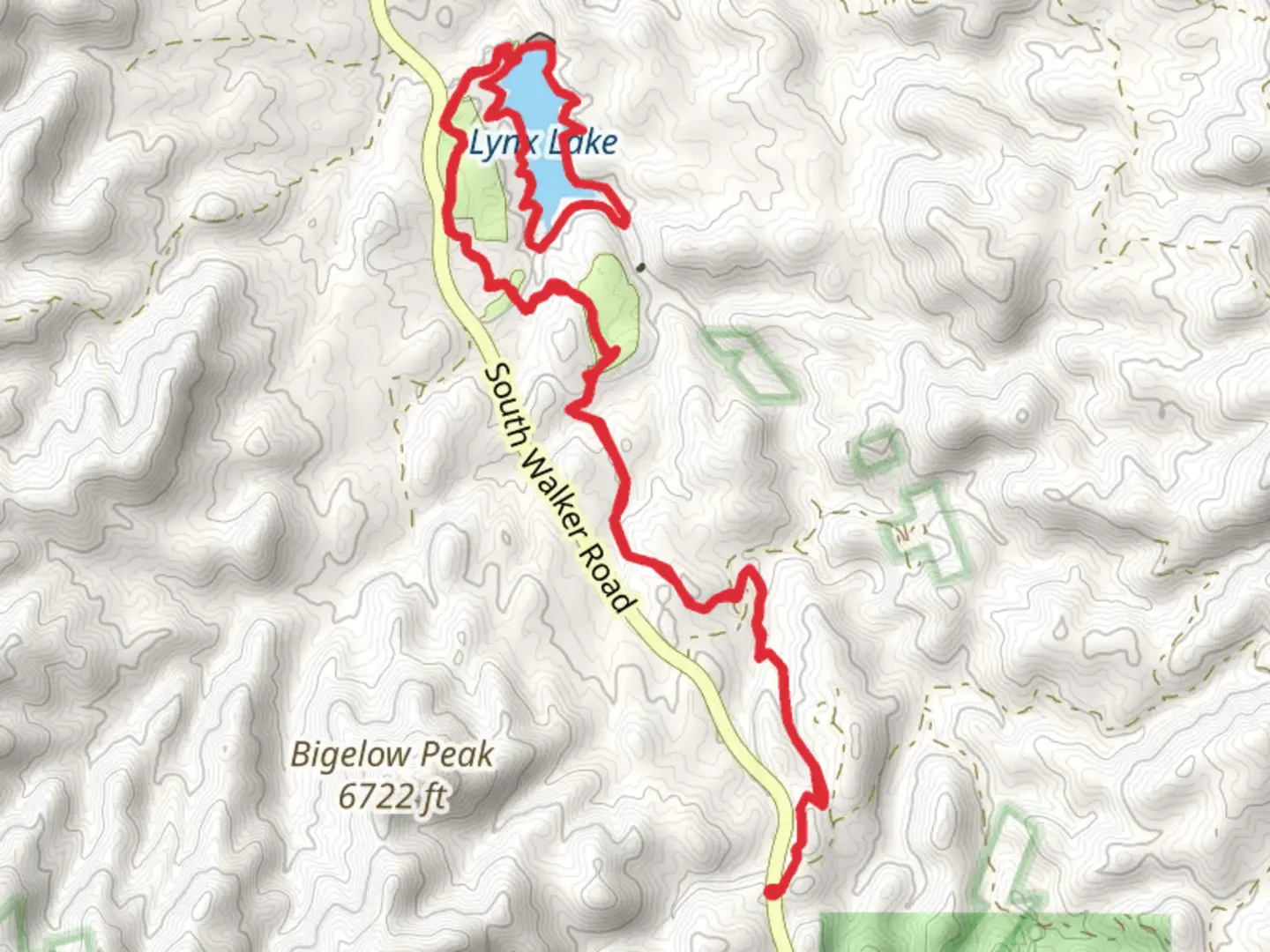 An image depicting the trail Lynx Lake via Homestead Trail and its surrounding area.