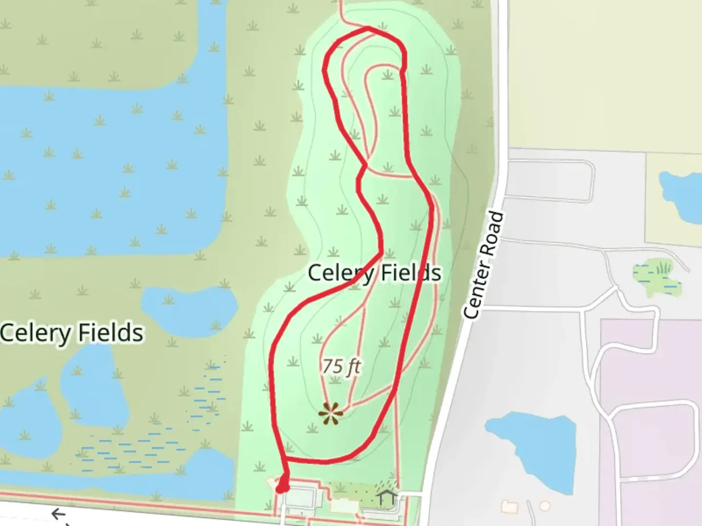An image depicting the trail Celery Fields Loop and its surrounding area.