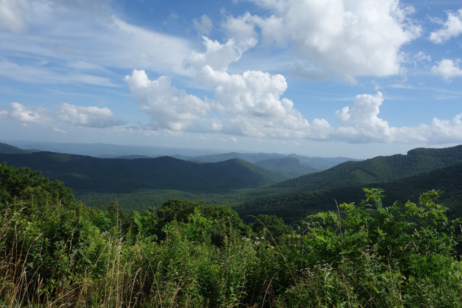 An image depicting the trail South Mills River Trail and its surrounding area.