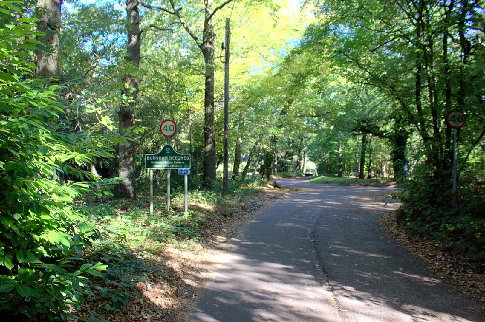 An image depicting the trail Burnham Beeches Nature Reserve Loop and its surrounding area.