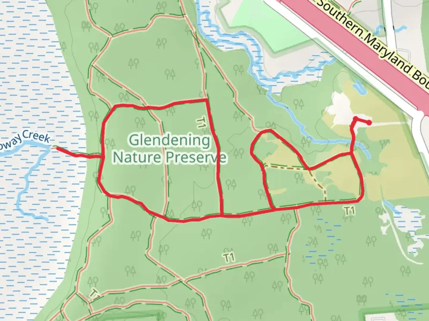 An image depicting the trail Pine Barrens Trail, Blueberry Trail and Chris Swarth Boardwalk Loop and its surrounding area.