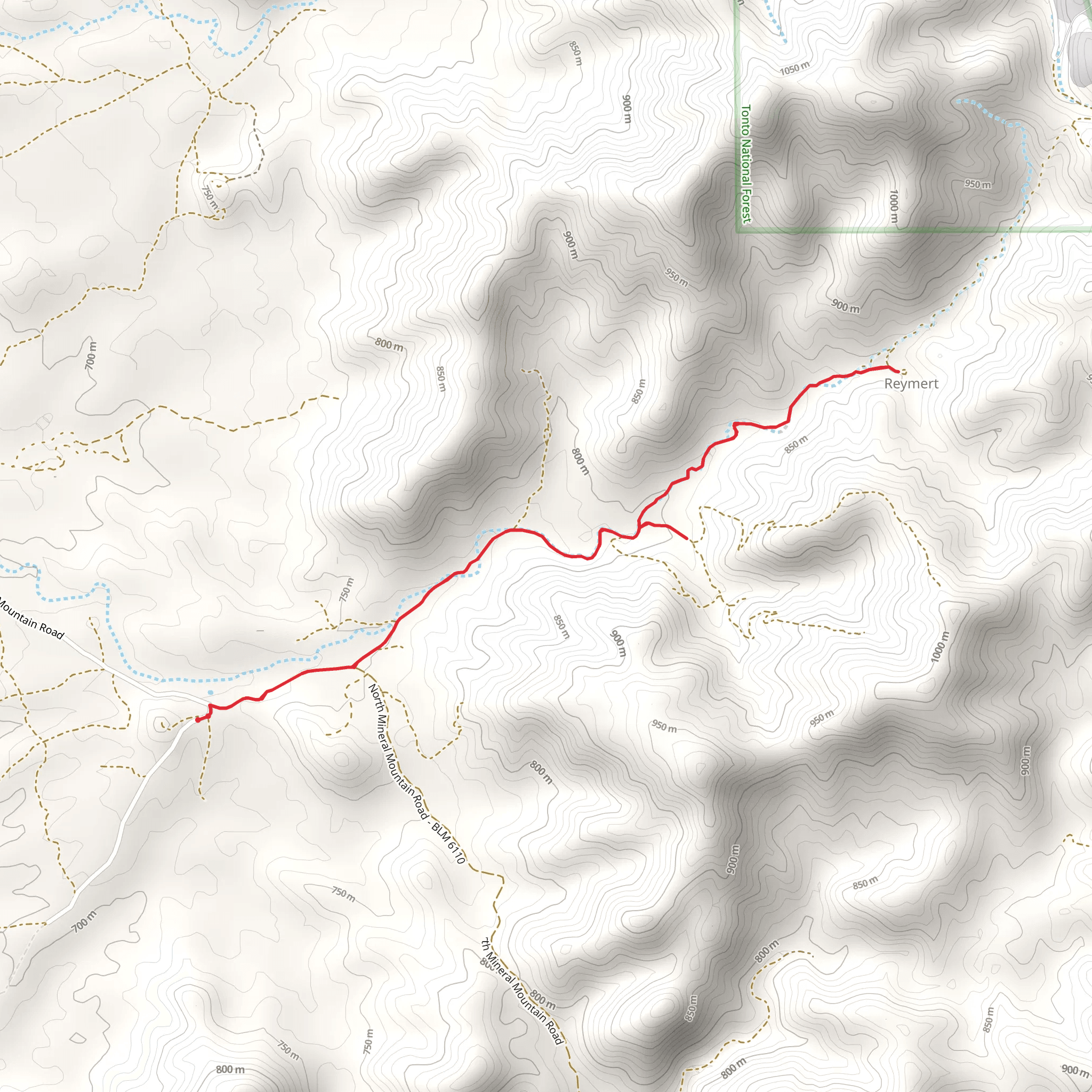 Reymert via N Mineral Mountain Road mobile static map