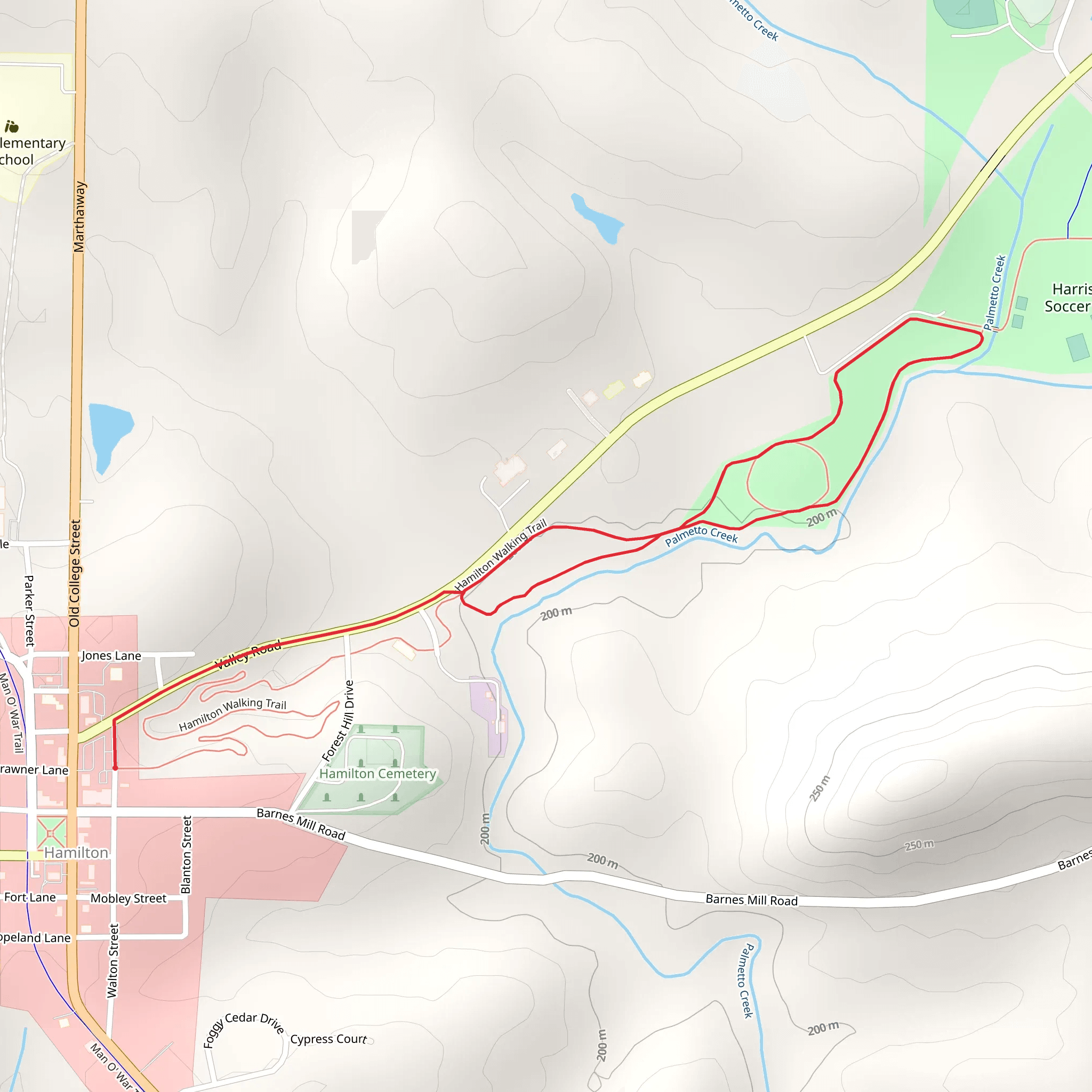 Palmetto Creek Loop mobile static map