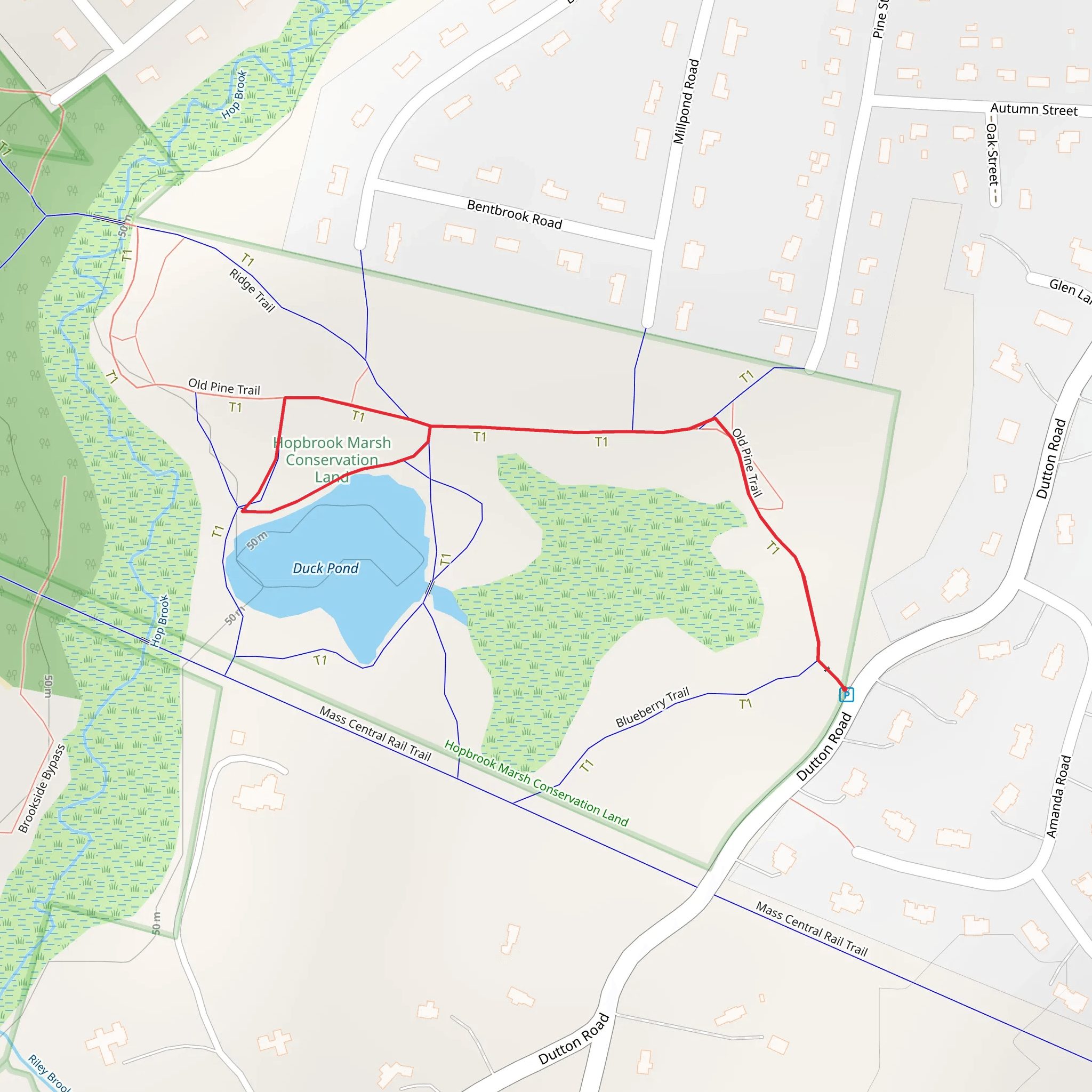 Duck Pond via Old Pine Trail mobile static map