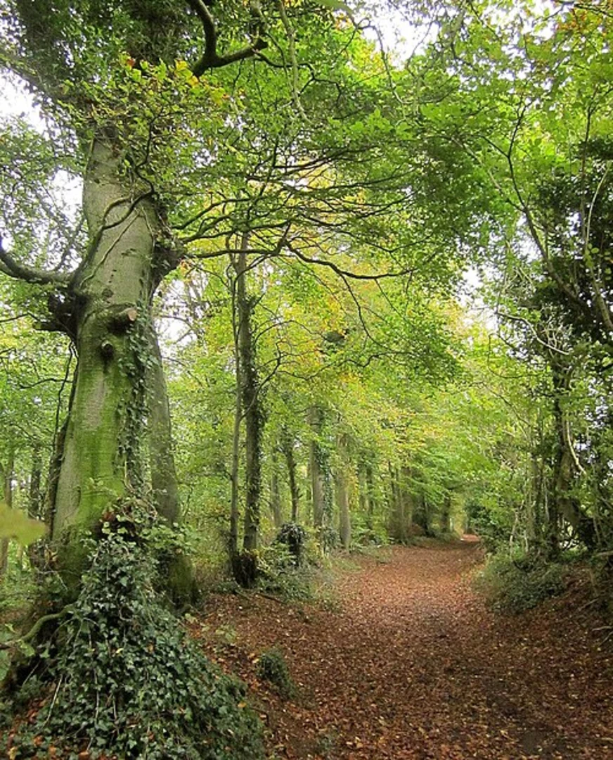 An image depicting the trail Wotton under Edge and Wortley Loop and its surrounding area.