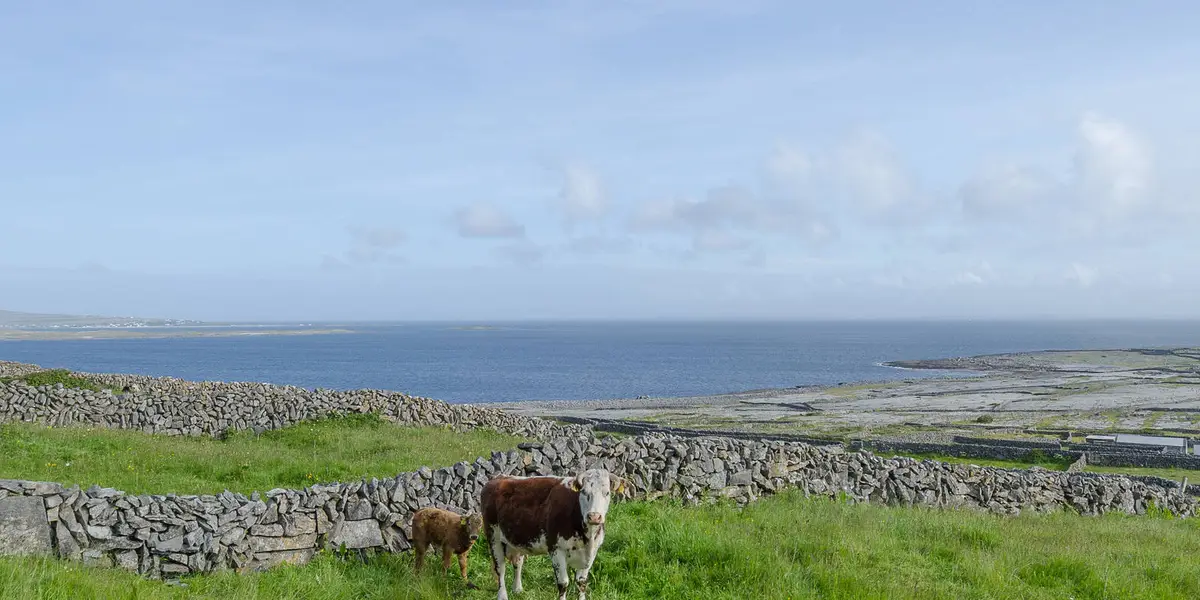 Inis Meain - Lub Cill Cheannannach
