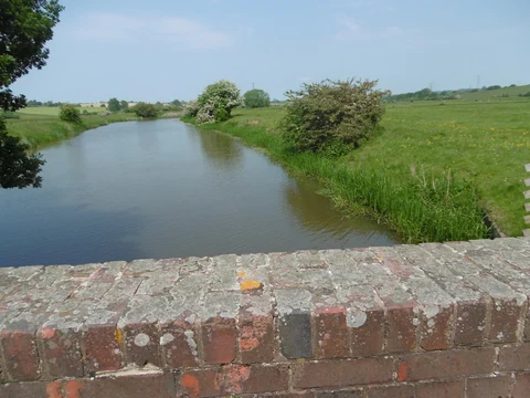 An image depicting the trail Wartling Wood and Plantation Wood Loop and its surrounding area.