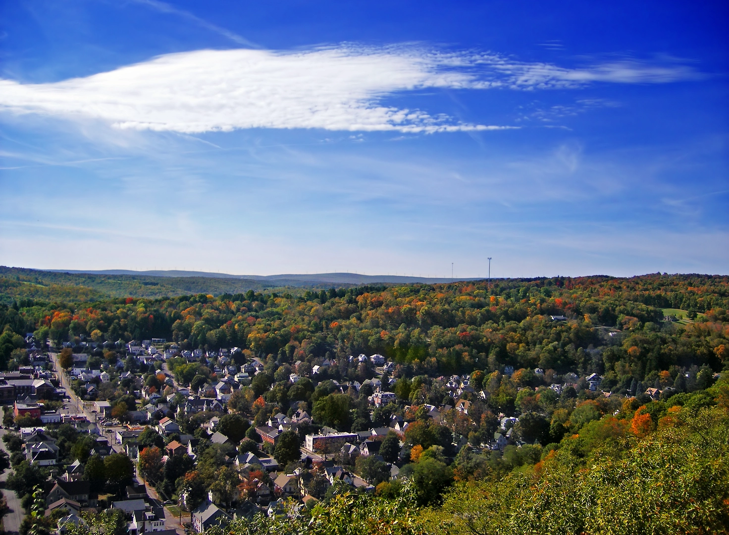An image depicting the trail Gibbons Park Trail and its surrounding area.