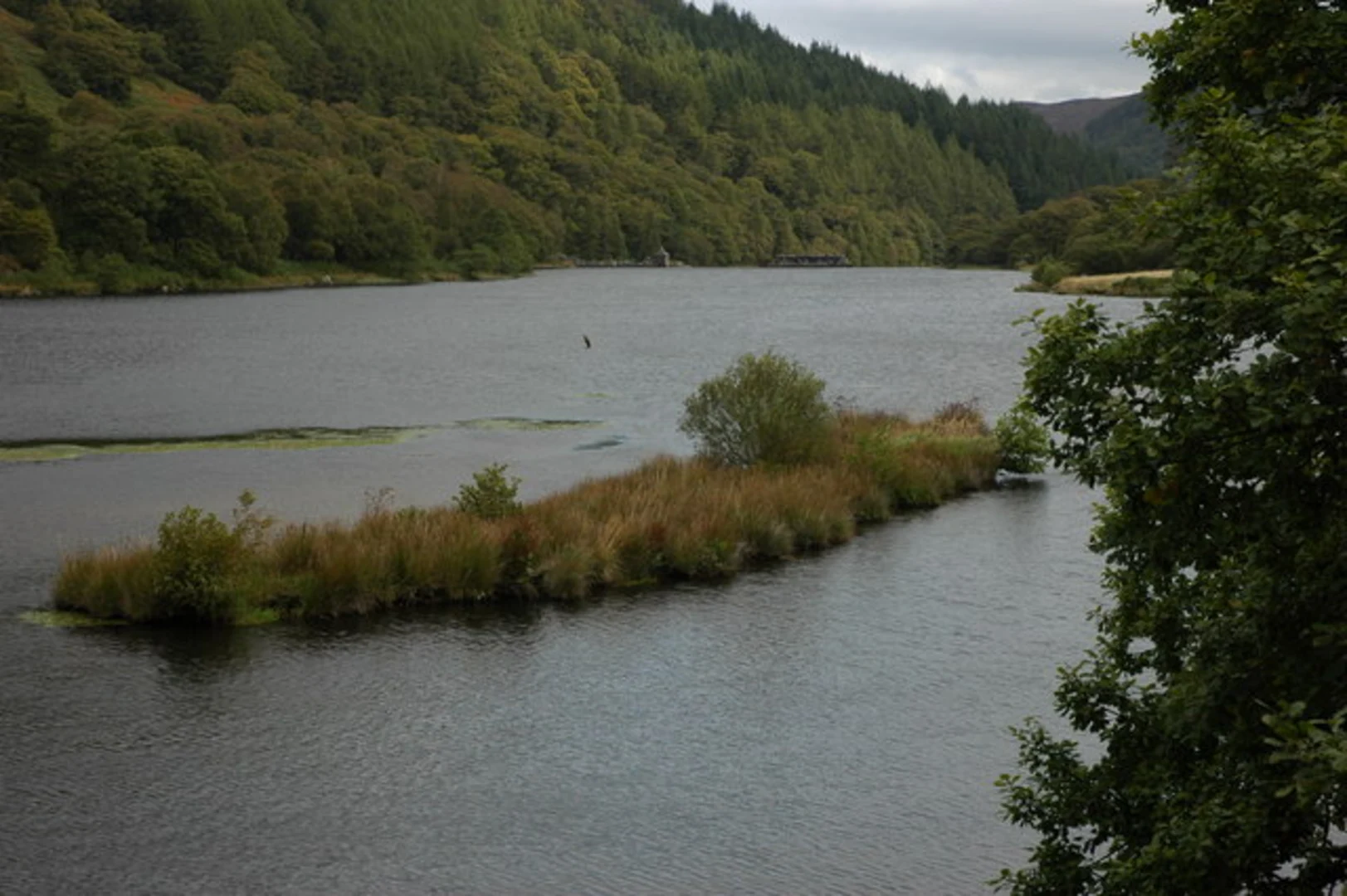 An image depicting the trail Claerwen Valley and Dam from Dolymynach Reservoir and its surrounding area.