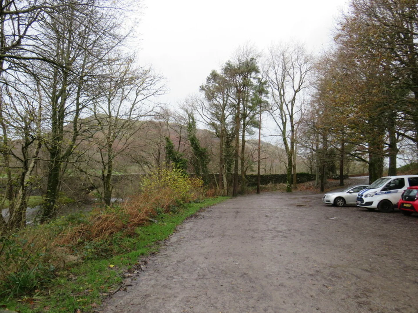 An image depicting the trail Lanthwaite Wood Walk and its surrounding area.