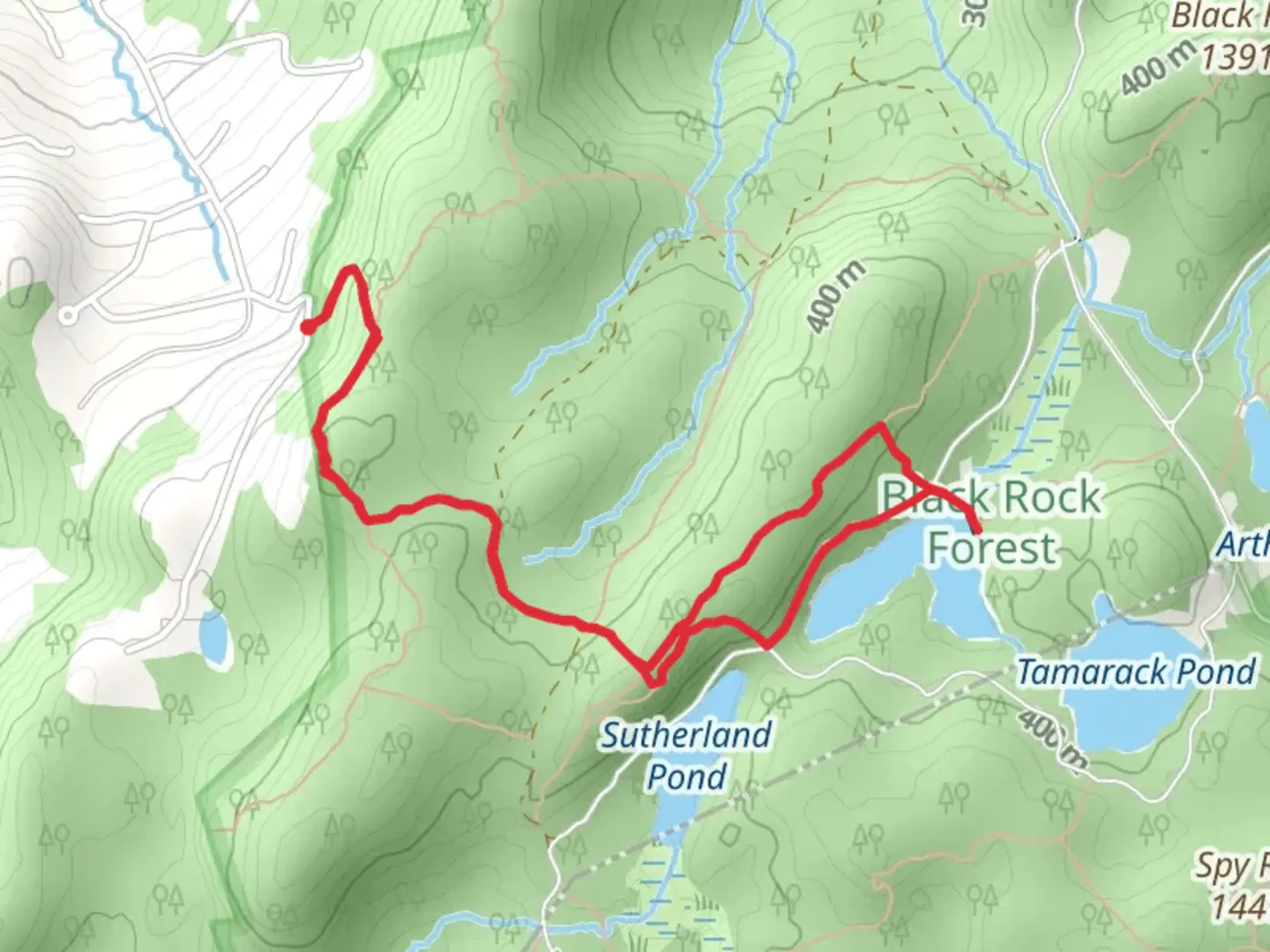 An image depicting the trail Sphagnum Pond Loop Trail and its surrounding area.