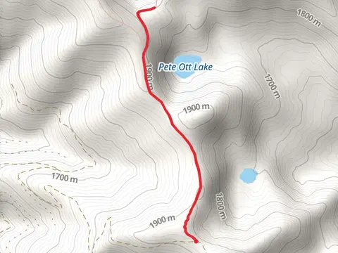 Pete Ott Lake via Flat Mountain Trail