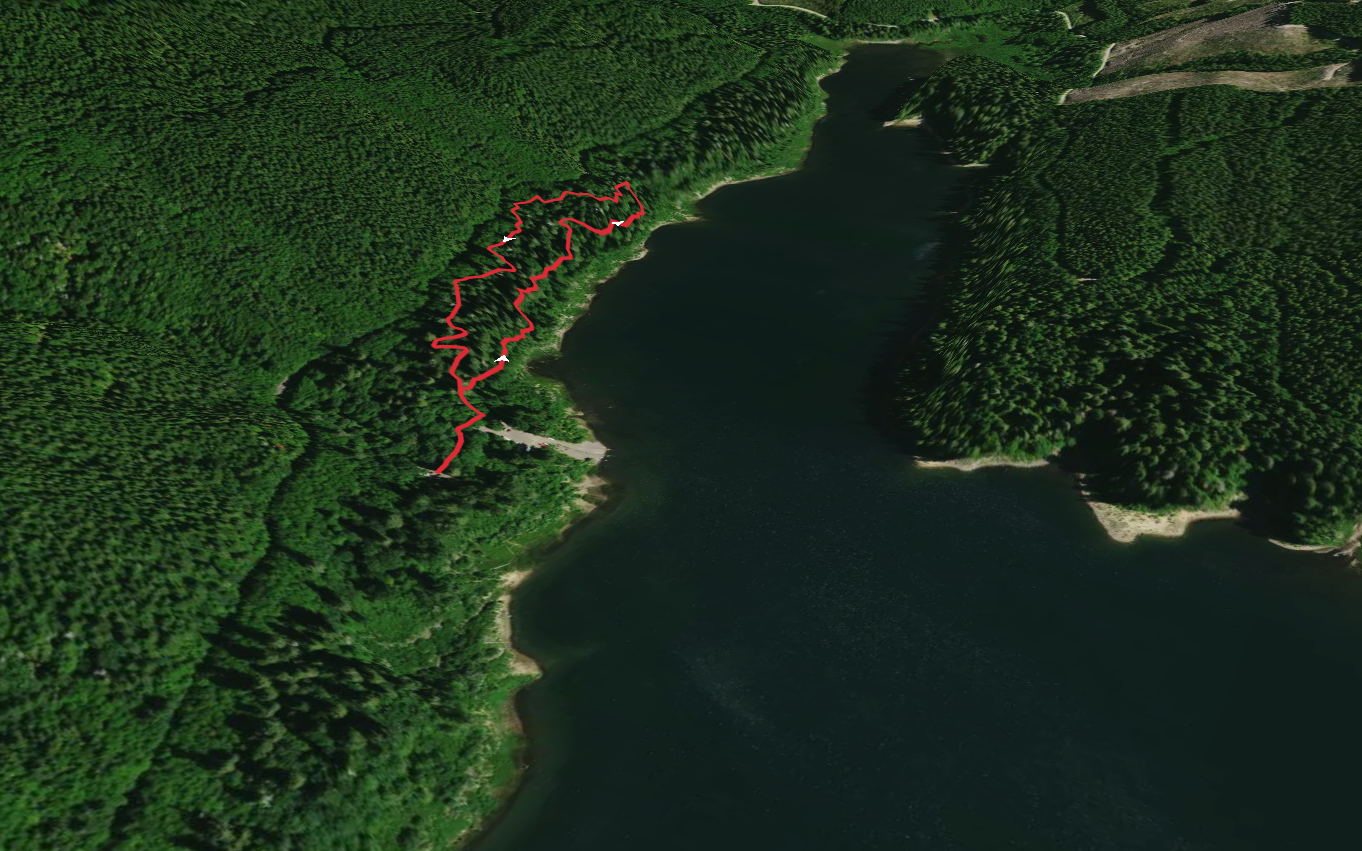 Merrill Lake Campground Loop