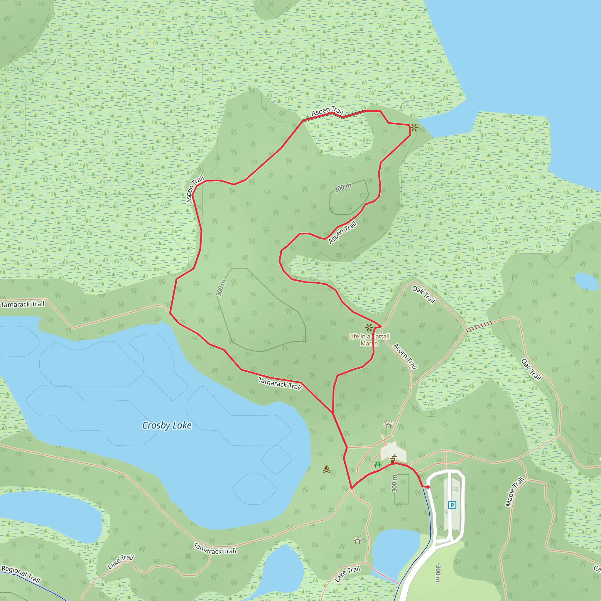 Aspen and Tamarack Loop Trail mobile static map