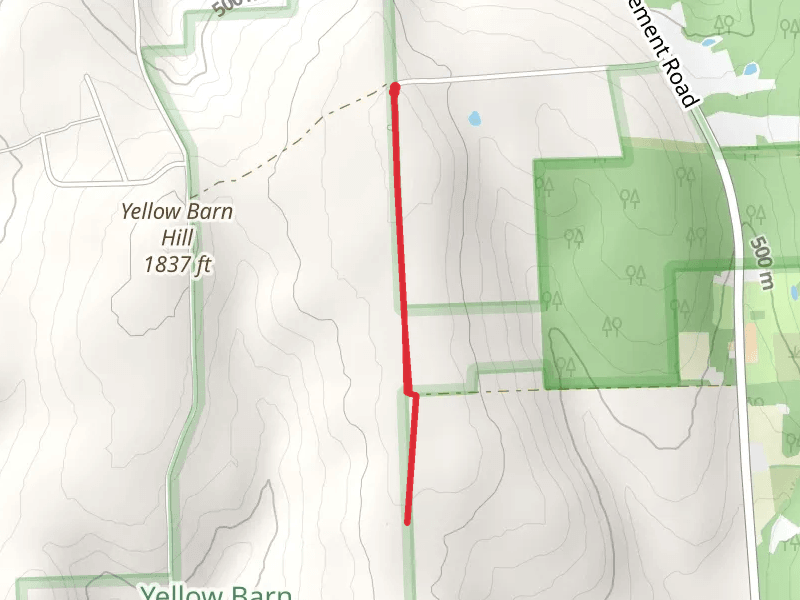 Signal Tower Road Trail