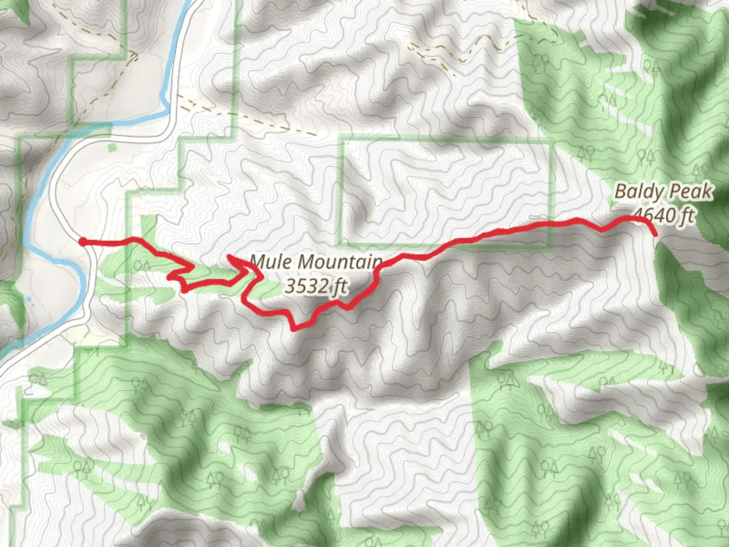 An image depicting the trail Baldy Peak via Mule Mountain Trail and its surrounding area.