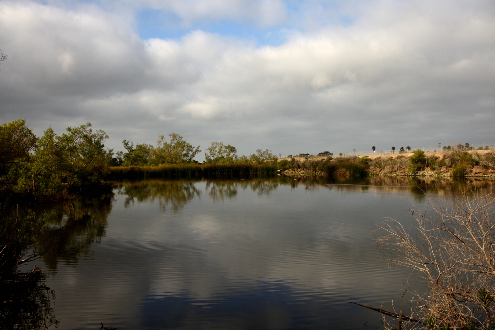 An image depicting the trail Fairview and Talbert Regional Park Loop and its surrounding area.