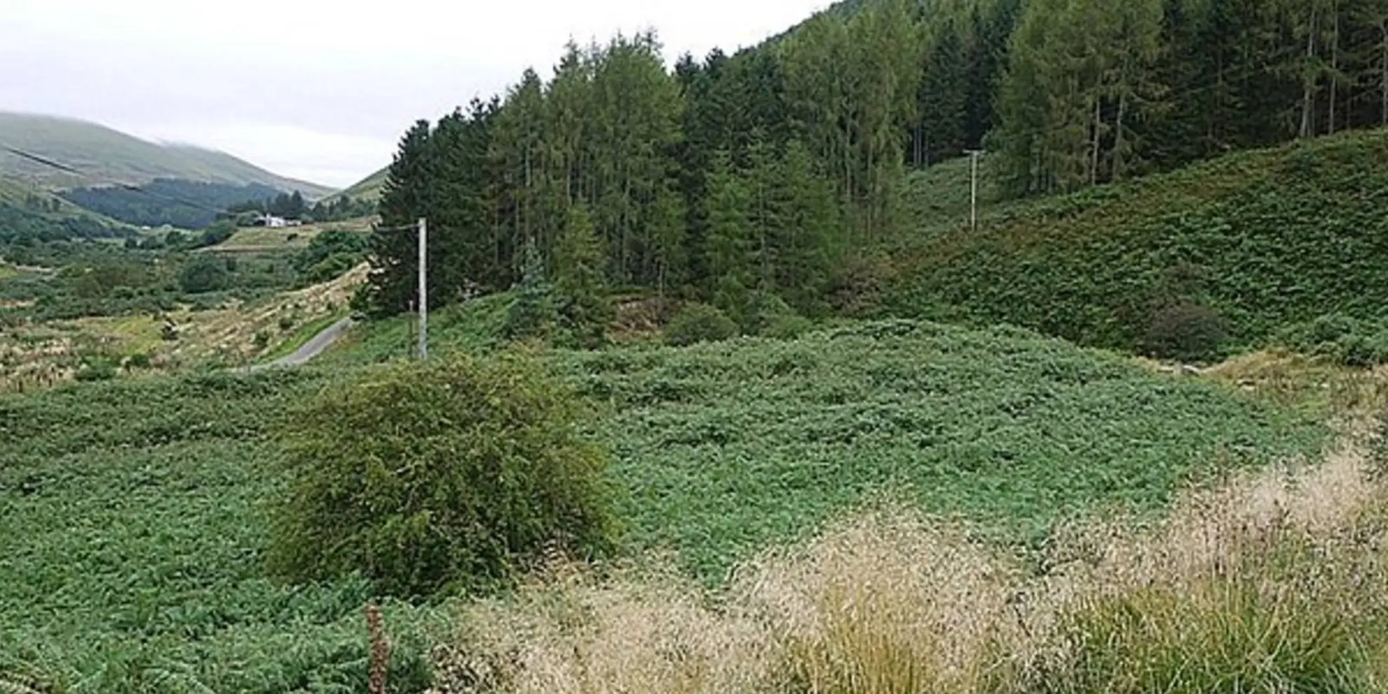 An image depicting the trail Blackhaggs Rigg and Great Hetha from Hethpool and its surrounding area.