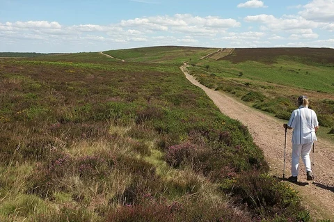 An image depicting the trail Willoughby Cleeve, Bicknoller Post and Weacombe Hill Loop and its surrounding area.