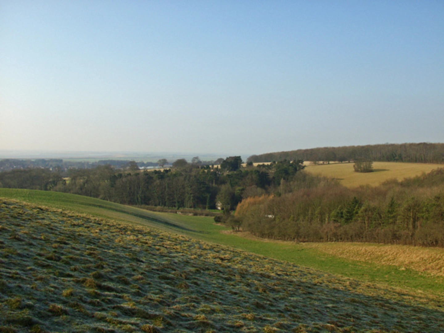 An image depicting the trail South Wold Plantation and Long Plantation Loop and its surrounding area.