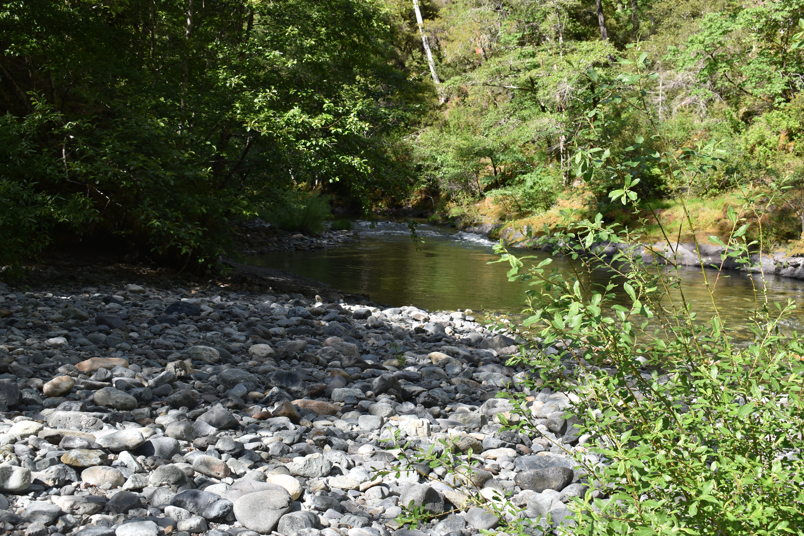 An image depicting the trail French Hill Trail and its surrounding area.