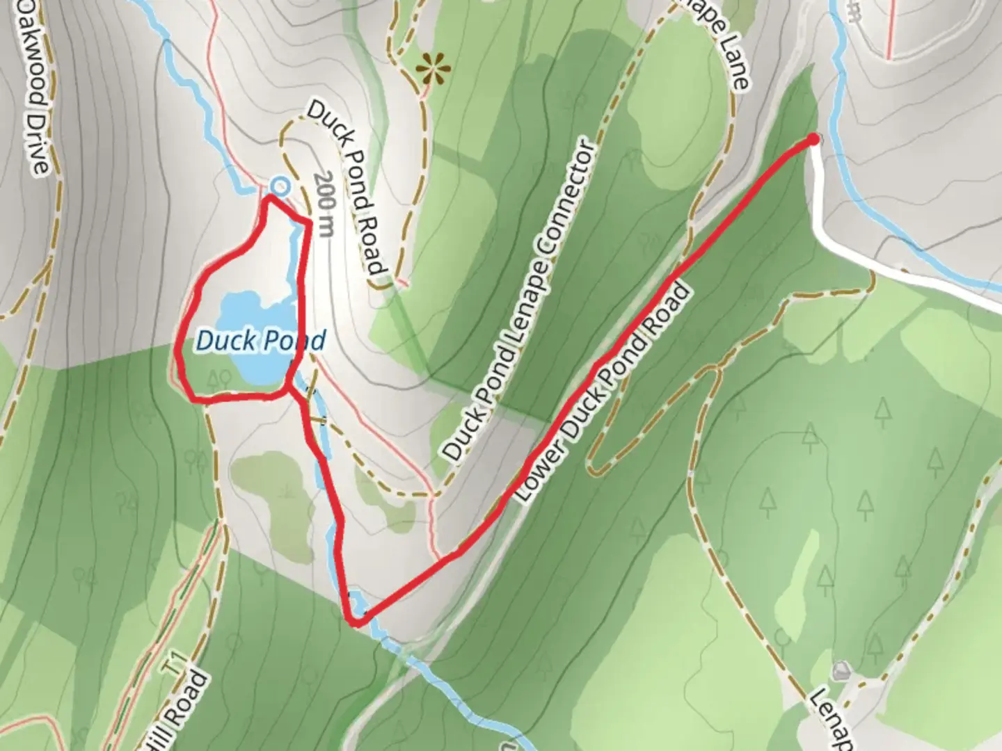An image depicting the trail Duck Pond Loop Trail and its surrounding area.