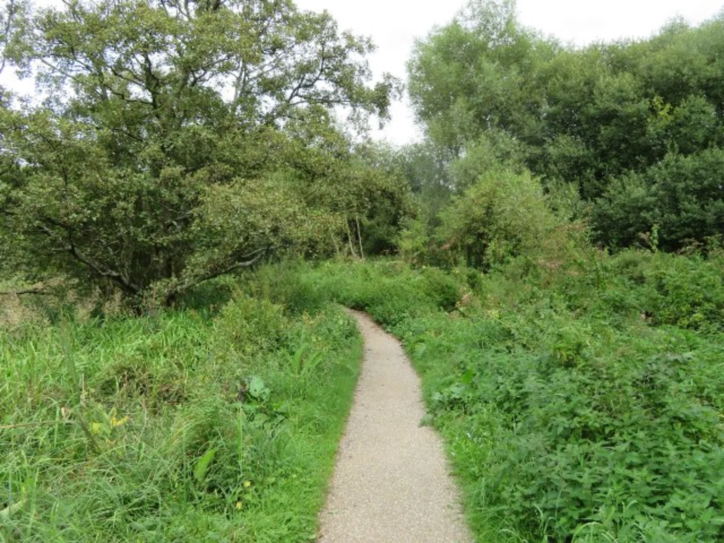 An image depicting the trail Winchester to Abbotswood Walk and its surrounding area.