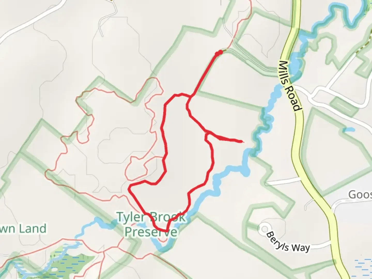 An image depicting the trail Tyler Brook Loop and its surrounding area.
