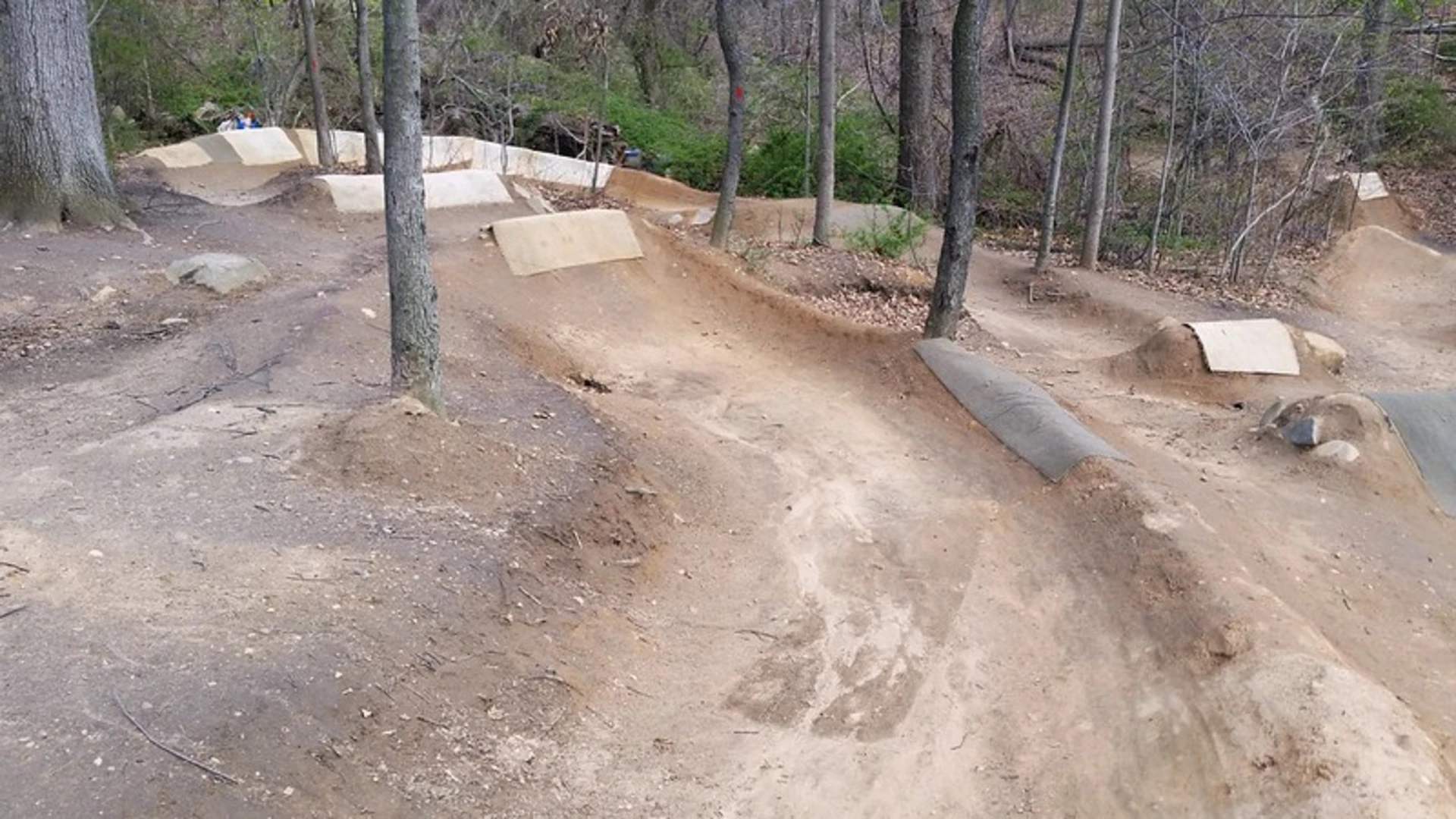 An image depicting the trail Vanderbilt Parkway and its surrounding area.