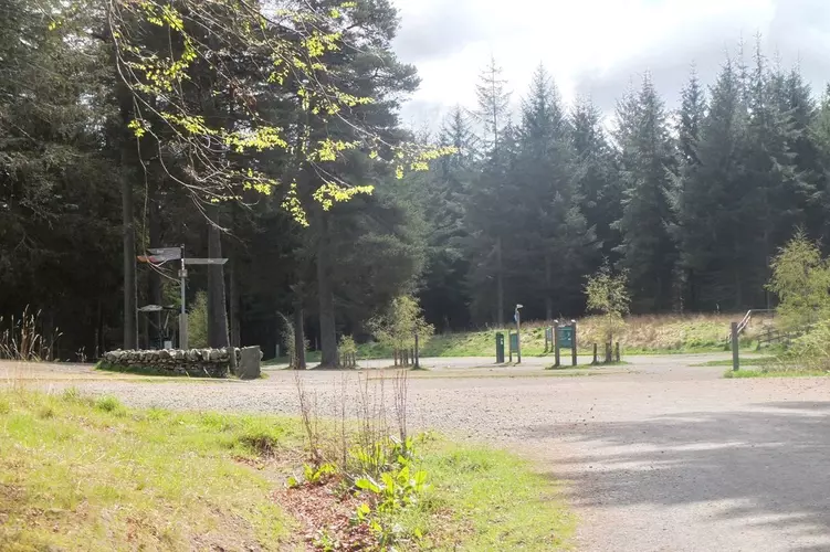 Tower Loop Trail from Glentress