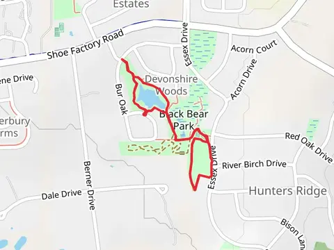 Black Bear Park Loop