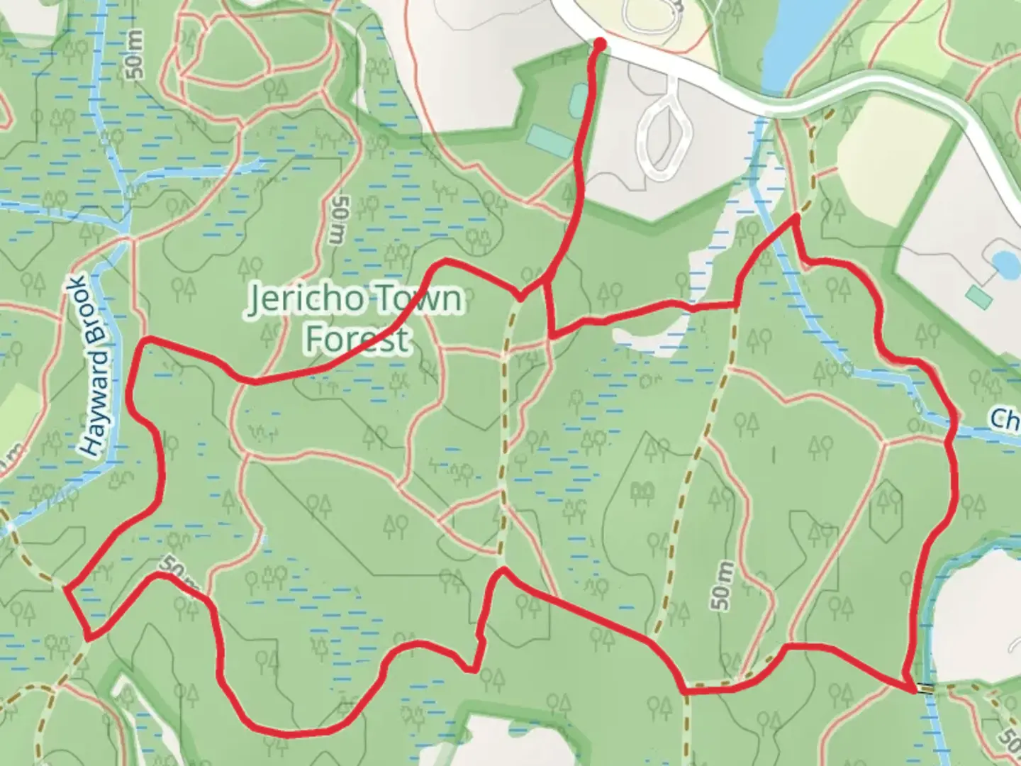An image depicting the trail Cherry Brook and Hayward Brook Loop Trail and its surrounding area.
