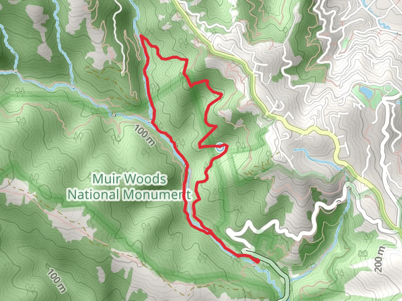 Fern Creek and Canopy Loop Trail