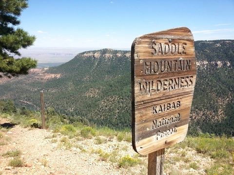 An image depicting the trail South Canyon Trail and its surrounding area.