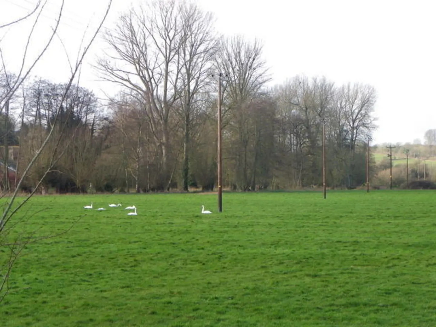 An image depicting the trail Burcombe and the Punch Bowl Walk and its surrounding area.