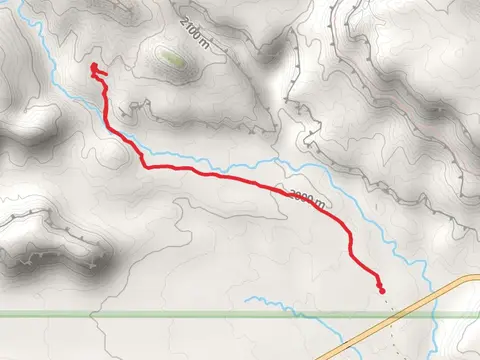 Cooks Mesa Trail Out and Back