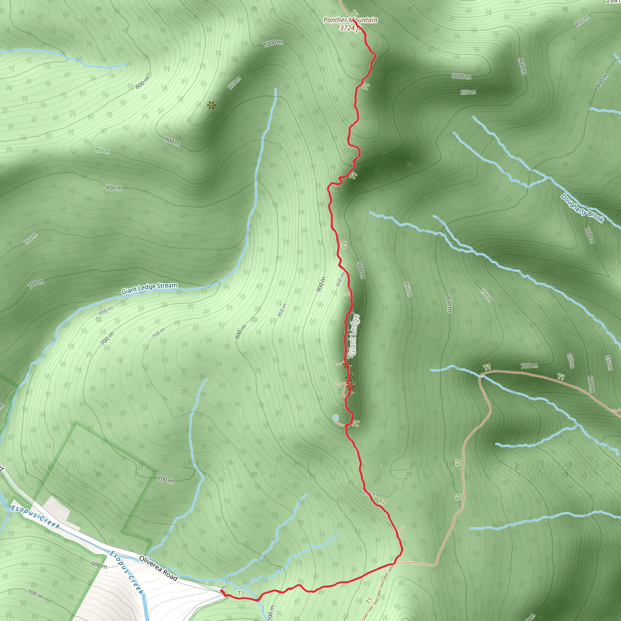 Panther Mountain from Phoenicia - East Branch Trail Out and Back mobile static map