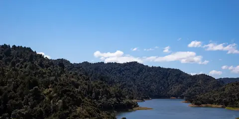 An image depicting the trail Wairoa Loop Track and Suspension Bridge Track and its surrounding area.